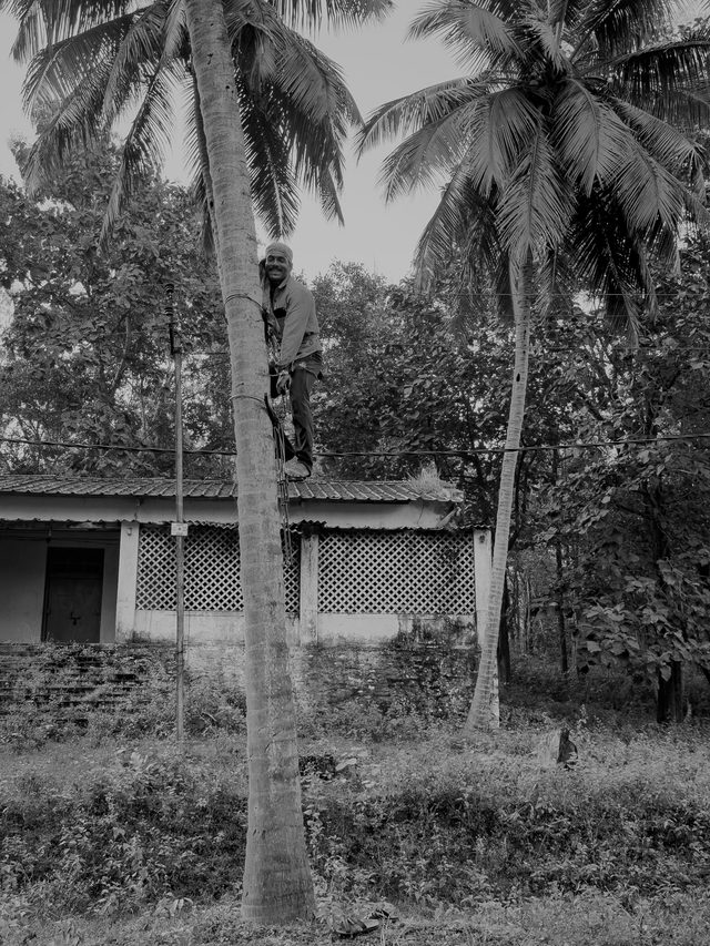 Dandeli — location photo 3