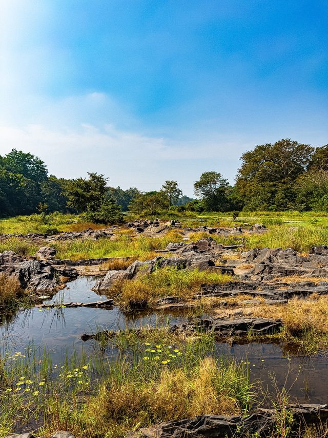Dandeli — location photo 5