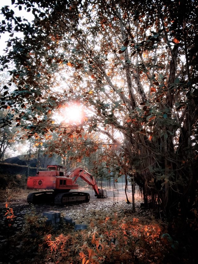 Dandeli — location photo 8