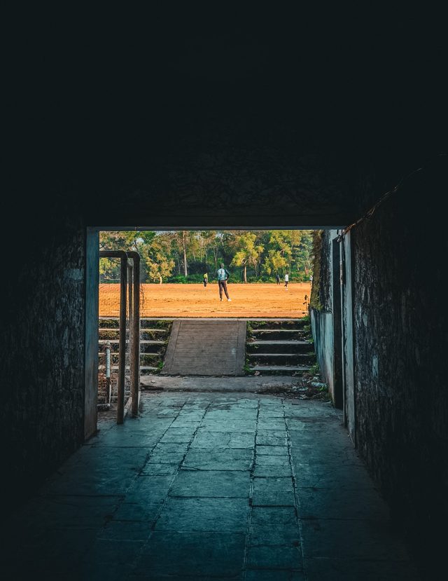 Dandeli — location photo 9