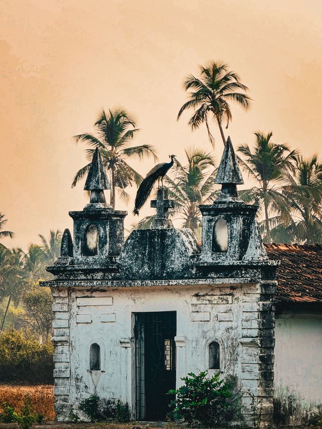 Goa — location photo 4