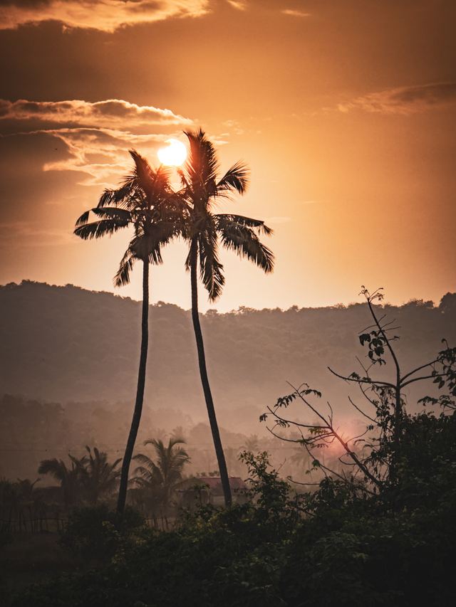 Goa — location photo 5