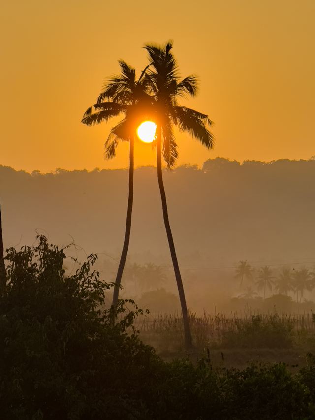 Goa — location photo 7
