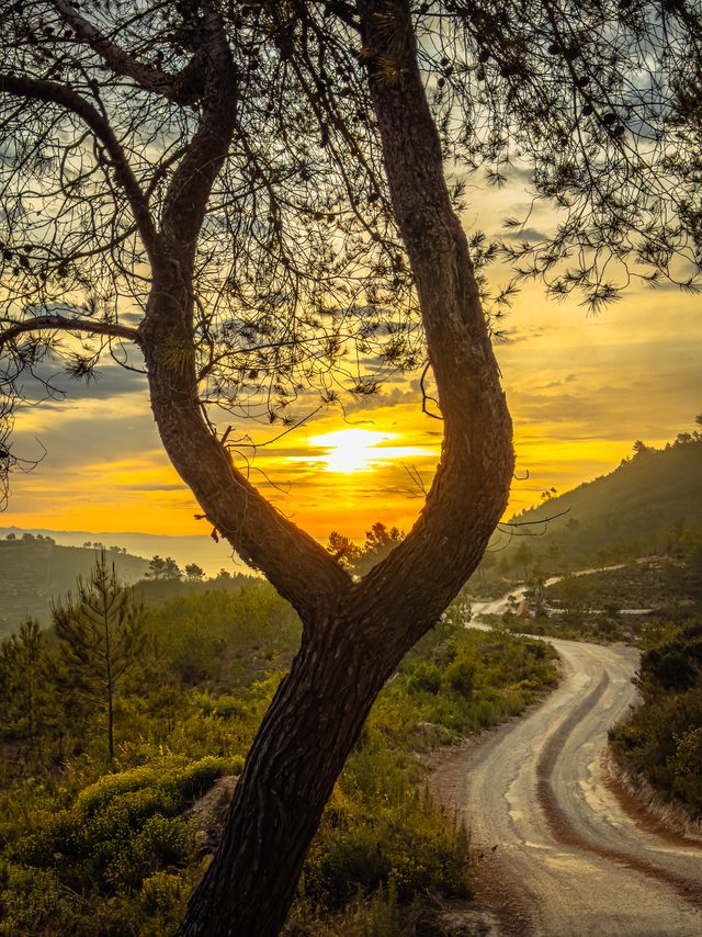 Ibiza — location photo 3