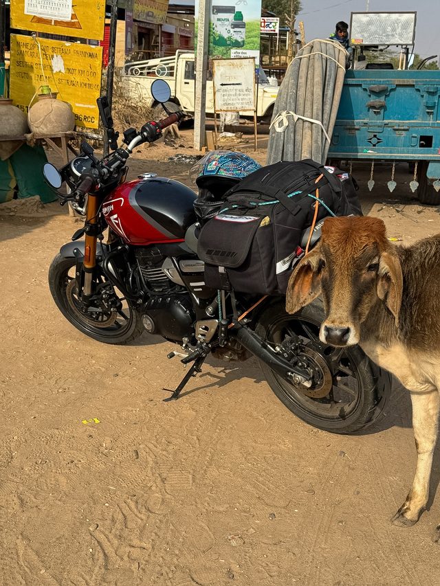 Jaisalmer — location photo 5