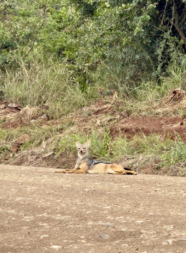 Nairobi — location photo 2