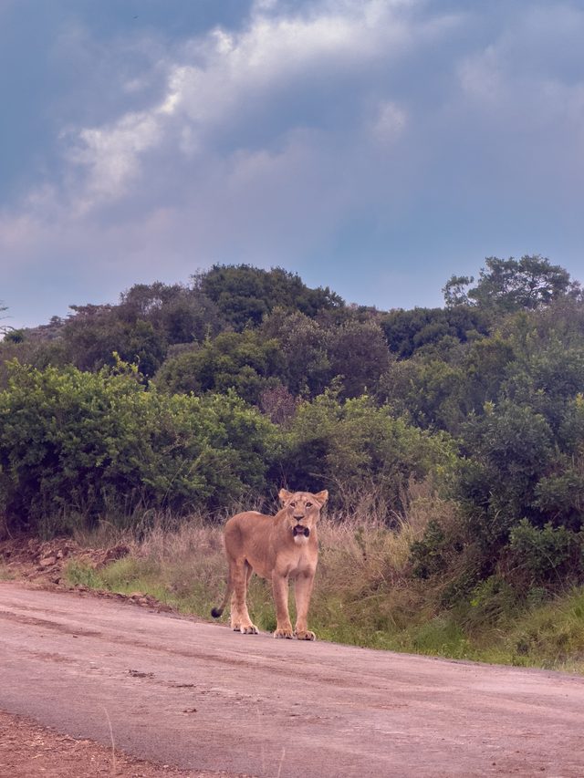 Nairobi — location photo 3