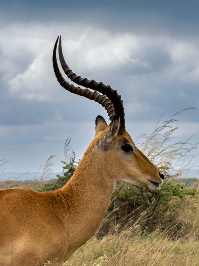 Nairobi — location photo 5