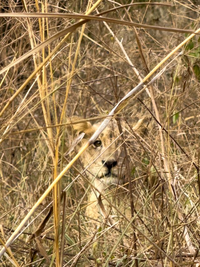 Nairobi — location photo 1