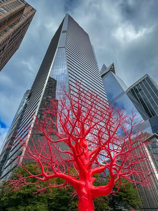 New York — location photo 2