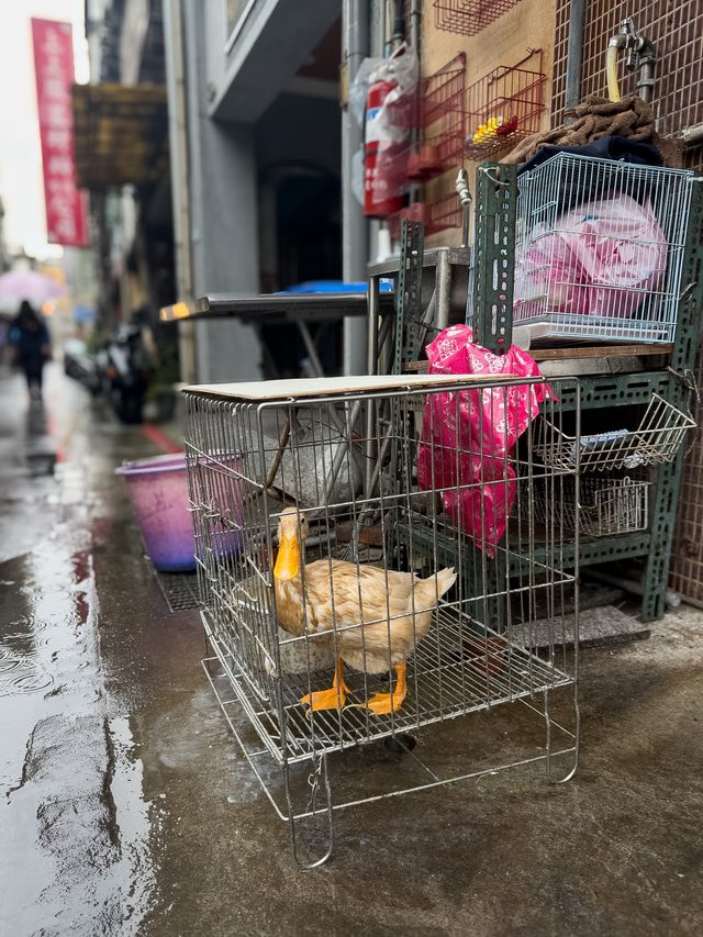 Taipei — location photo 4